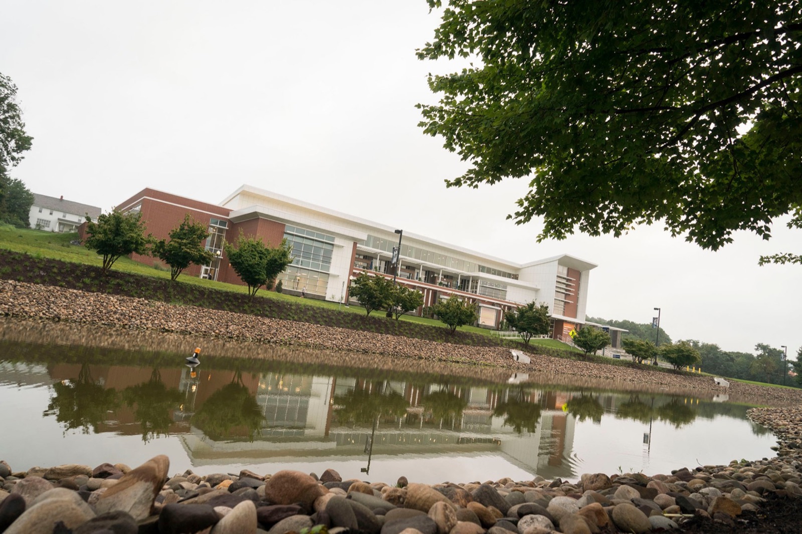 Academic building beside a landscaped pond